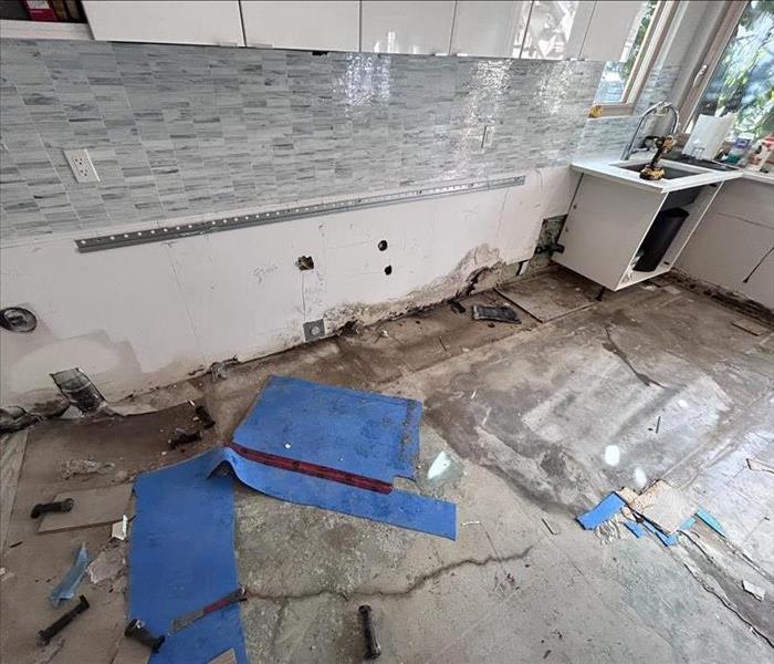 Water and mold damage in property in Vancouver