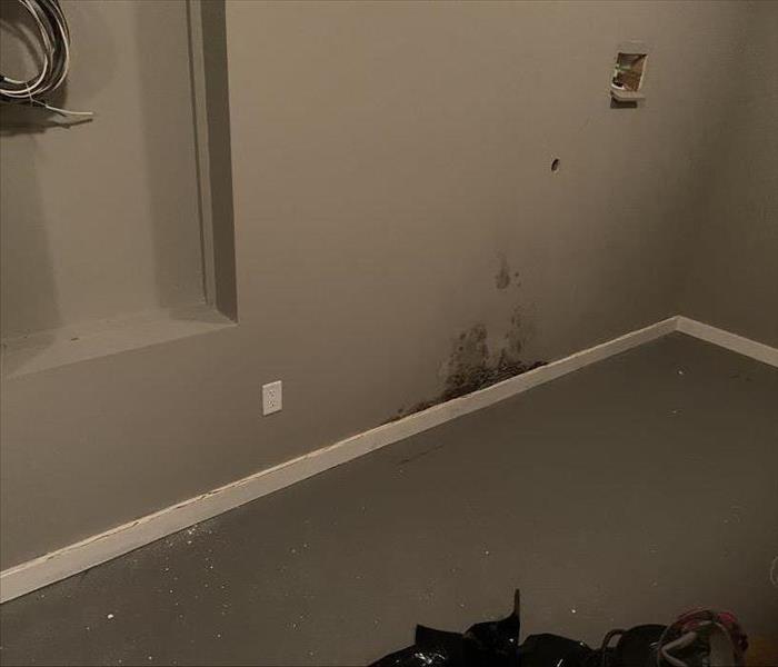 Mold growth on the wall because of water pipe leakage 