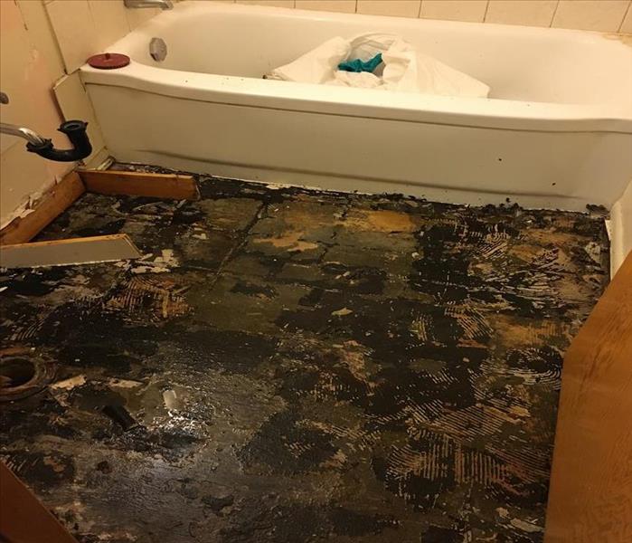 SERVPRO of North Vancouver_ Mold