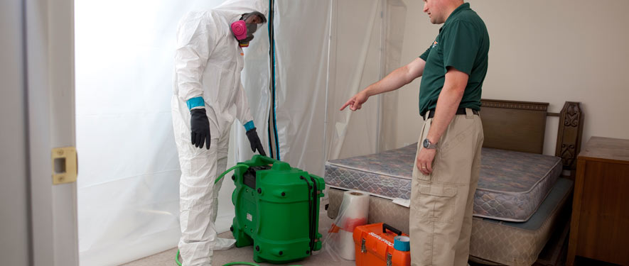 Vancouver, BC mold removal process
